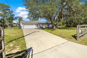 16345 113TH STREET ROAD, OCKLAWAHA, FL 32179 - MLS#MFROM712577