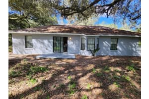 13767 47TH AVENUE, ANTHONY, FL 32617 - MLS#MFROM712586