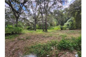 13767 47TH AVENUE, ANTHONY, FL 32617 - MLS#MFROM712586