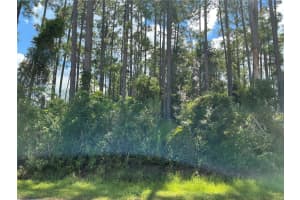 53 FENWICK LANE, PALM COAST, FL 32137 Sold 02/26/26