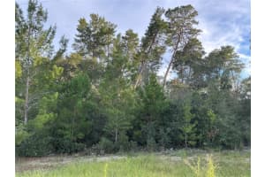 0 112TH STREET, OCALA, FL 34476 - MLS#MFROM712614