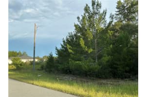 0 112TH STREET, OCALA, FL 34476 - MLS#MFROM712614