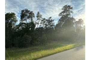 0 112TH STREET, OCALA, FL 34476 - MLS#MFROM712614