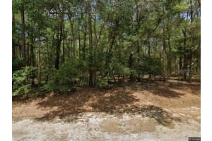 9918 N CARAVEL, CITRUS SPRINGS, FL 34434 - MLS#MFROM712616