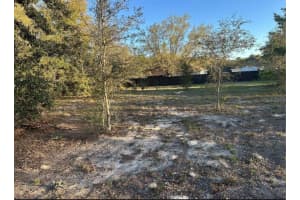 LOT 5 & 6 SW 107TH  STREET, DUNNELLON, FL 34432 Sold 11/21/25