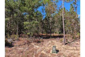 SW 69TH PL, OCALA, FL 34481 - MLS#MFROM712620