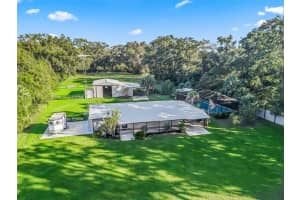 3505 97TH STREET ROAD, ANTHONY, FL 32617 - MLS#MFROM712626