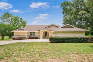 375 LIBERTY STREET, HERNANDO, FL 34442 - MLS#MFROM712629