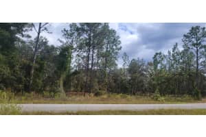 0 ARROW LEAF TRAIL, DUNNELLON, FL 34431 - MLS#MFROM712645