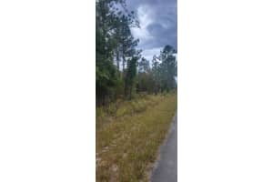 0 ARROW LEAF TRAIL, DUNNELLON, FL 34431 - MLS#MFROM712645