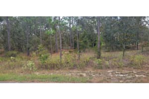 0 ARROW LEAF TRAIL, DUNNELLON, FL 34431 - MLS#MFROM712645