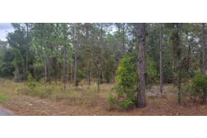 0 ARROW LEAF TRAIL, DUNNELLON, FL 34431 - MLS#MFROM712645