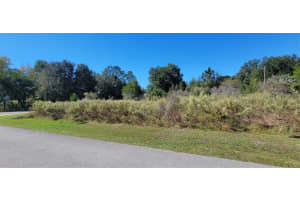 0 82ND PLACE, DUNNELLON, FL 34431 - MLS#MFROM712653