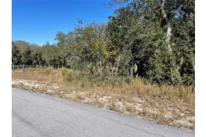 LOTS 444, 445 SHOREWOOD DRIVE, DUNNELLON, FL 34431 - MLS#MFROM712655