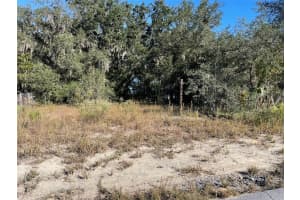 LOTS 444, 445 SHOREWOOD DRIVE, DUNNELLON, FL 34431 - MLS#MFROM712655