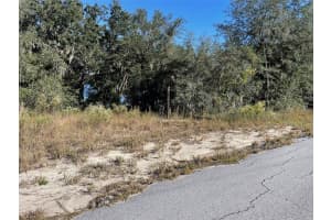 LOTS 444, 445 SHOREWOOD DRIVE, DUNNELLON, FL 34431 - MLS#MFROM712655