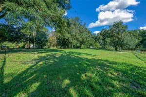 399 155TH PLACE, CITRA, FL 32113 - MLS#MFROM712656
