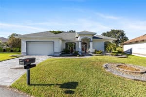 11545 175TH STREET, SUMMERFIELD, FL 34491 - MLS#MFROM712657