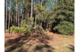 SW 56TH LN, OCALA, FL 34481 - MLS#MFROM712686