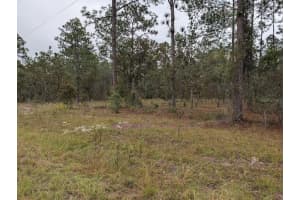 lot 13 GERANIUM AVENUE, DUNNELLON, FL 34431 - MLS#MFROM712707