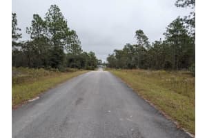 lot 13 GERANIUM AVENUE, DUNNELLON, FL 34431 - MLS#MFROM712707