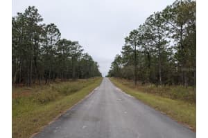 lot 13 GERANIUM AVENUE, DUNNELLON, FL 34431 - MLS#MFROM712707