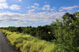 1269 ROLAND STREET, PALM BAY, FL 32908 - MLS#MFROM712739