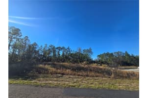 9388 OLD MILL WAY, CITRUS SPRINGS, FL 34433 - MLS#MFROM712746