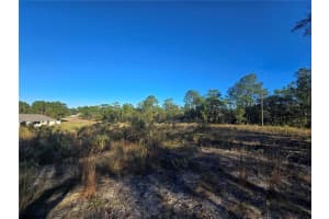 9388 OLD MILL WAY, CITRUS SPRINGS, FL 34433 - MLS#MFROM712746