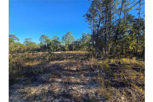 9388 OLD MILL WAY, CITRUS SPRINGS, FL 34433 - MLS#MFROM712746