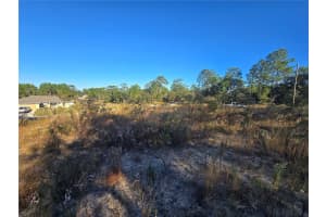 9388 OLD MILL WAY, CITRUS SPRINGS, FL 34433 - MLS#MFROM712746