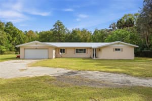 21133 75TH AVENUE, MICANOPY, FL 32667 - MLS#MFROM712767