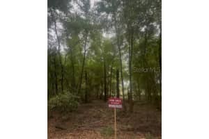 NA, OCALA, FL 34482 - MLS#MFROM712782