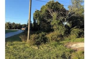 0 CHESTNUT ROAD, OCALA, FL 34480 - MLS#MFROM712846