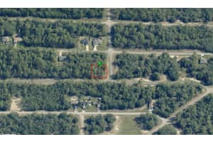 6545 WHISPERING DRIVE, CITRUS SPRINGS, FL 34434 - MLS#MFROM712872