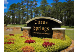 6545 WHISPERING DRIVE, CITRUS SPRINGS, FL 34434 - MLS#MFROM712872