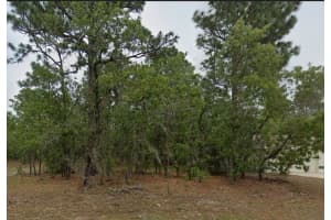 1485 LAMPLIGHTER STREET, CITRUS SPRINGS, FL 34434 Sold 12/04/25