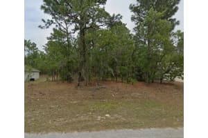 1485 LAMPLIGHTER STREET, CITRUS SPRINGS, FL 34434 Sold 12/04/25