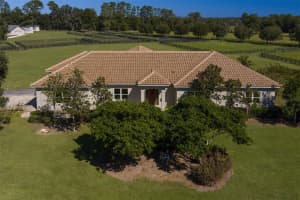 15225 112TH PLACE ROAD, MORRISTON, FL 32668 - MLS#MFROM712883