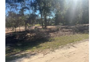 TBD SW 136 AVENUE, OCALA, FL 34481 - MLS#MFROM712935