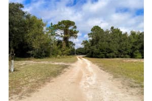 3090 109TH COURT, MORRISTON, FL 32668 - MLS#MFROM712961