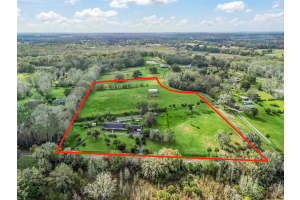 6994 320 HIGHWAY, MICANOPY, FL 32667 - MLS#MFROM712976