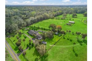 6994 320 HIGHWAY, MICANOPY, FL 32667 - MLS#MFROM712976