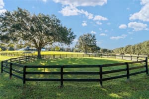 901 87TH PLACE, OCALA, FL 34476 - MLS#MFROM712985