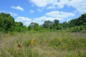 39 LOCUST PLACE, OCALA, FL 34472 - MLS#MFROM713036