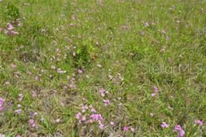 39 LOCUST PLACE, OCALA, FL 34472 - MLS#MFROM713036