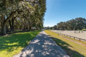 8820 130TH STREET, REDDICK, FL 32686 - MLS#MFROM713052