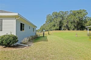 17920 100TH TERRACE, SUMMERFIELD, FL 34491 - MLS#MFROM713087