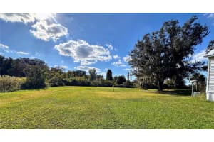 5435 153RD PLACE ROAD, CITRA, FL 32113 - MLS#MFROM713096