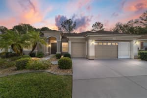 9450 130TH PLACE ROAD, SUMMERFIELD, FL 34491 - MLS#MFROM713103